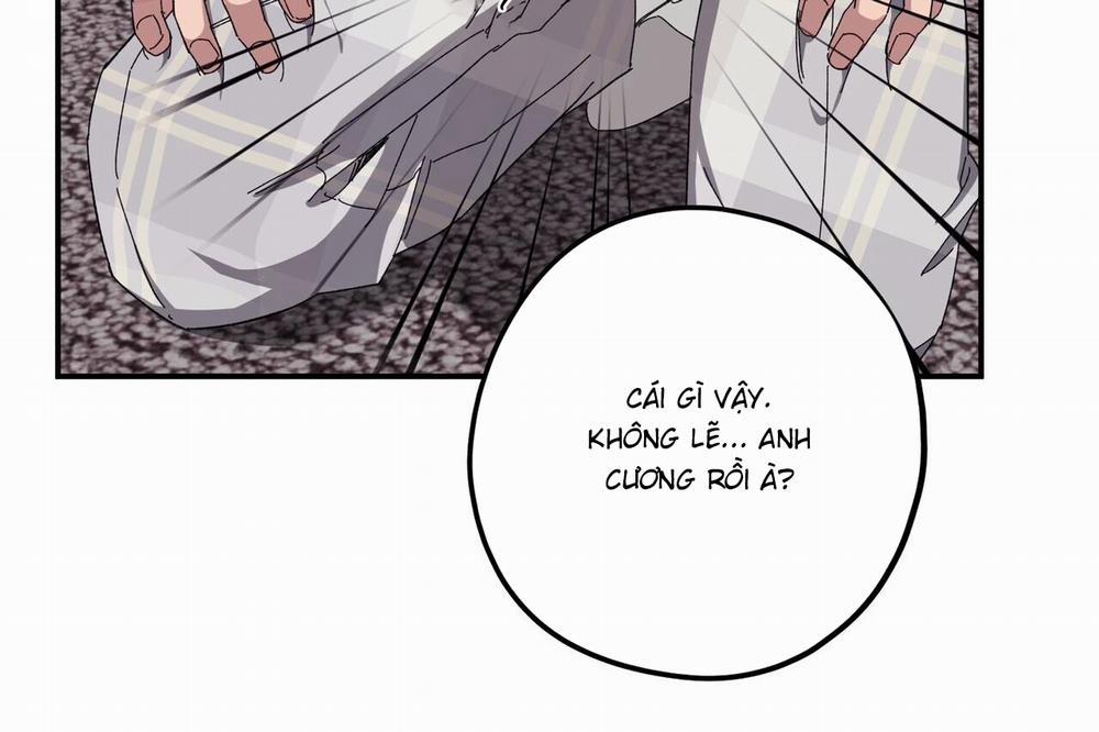 Chàng Dâu Nhà Họ Kang 34 trang 149