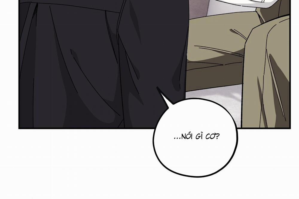 Chàng Dâu Nhà Họ Kang 34 trang 31