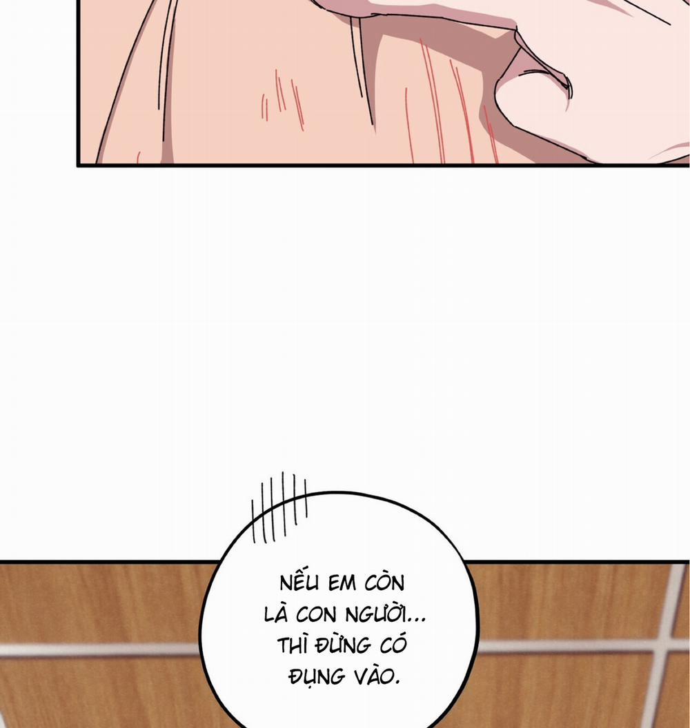 Chàng Dâu Nhà Họ Kang 36 trang 10