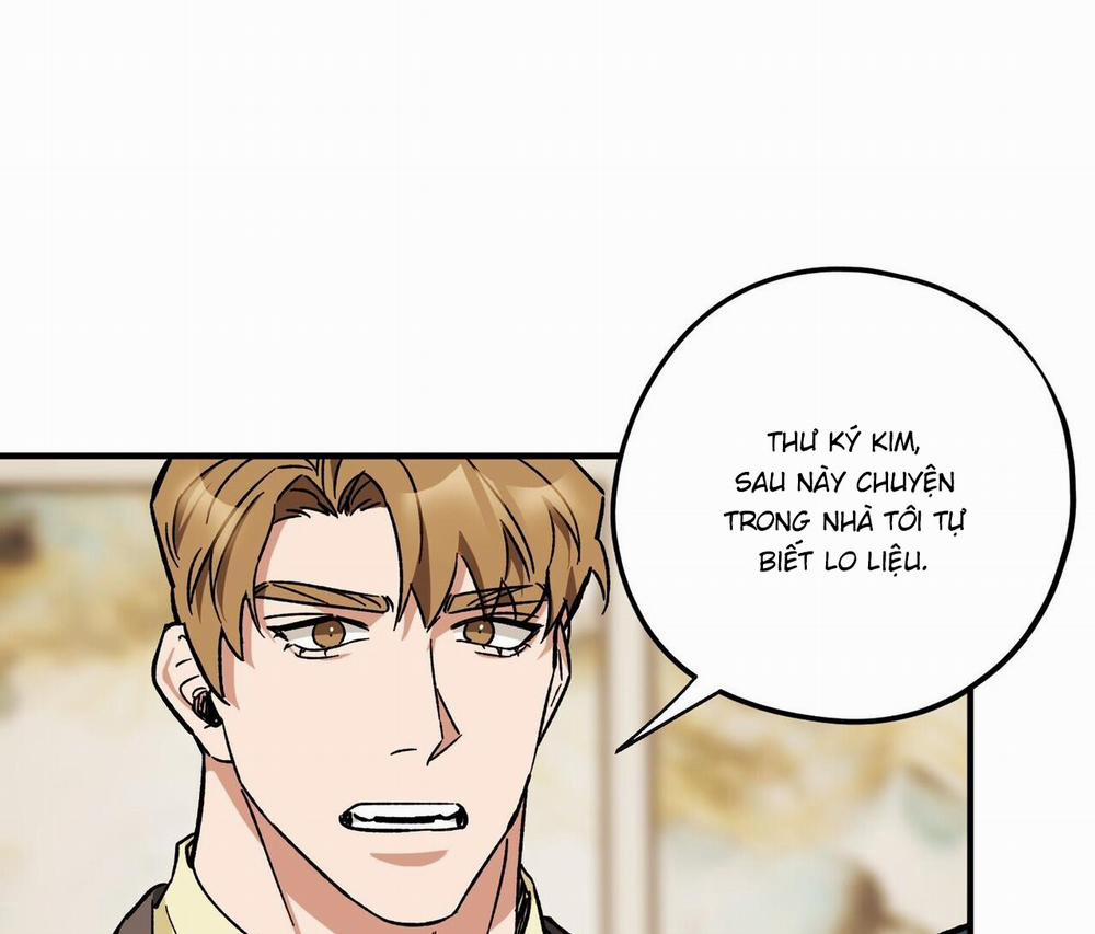 Chàng Dâu Nhà Họ Kang 41 trang 11