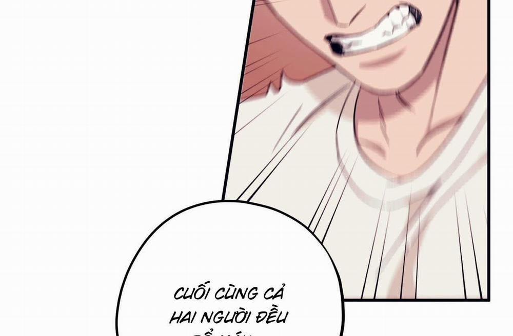 Chàng Dâu Nhà Họ Kang 42 trang 11