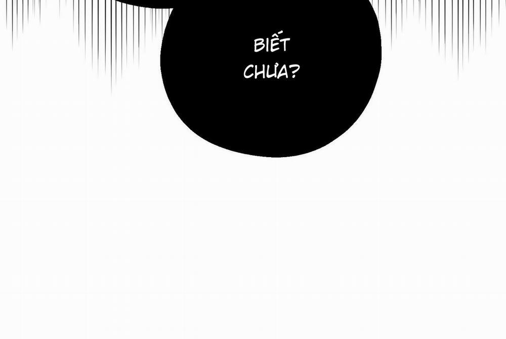 Chàng Dâu Nhà Họ Kang 43 trang 16