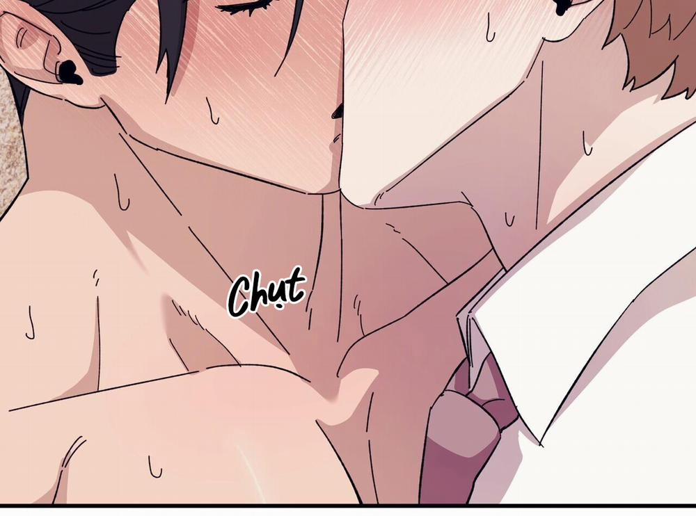 Chàng Dâu Nhà Họ Kang 44 trang 18