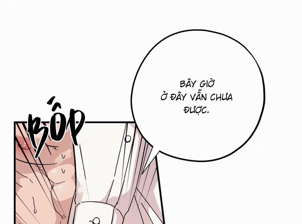 Chàng Dâu Nhà Họ Kang 44 trang 26