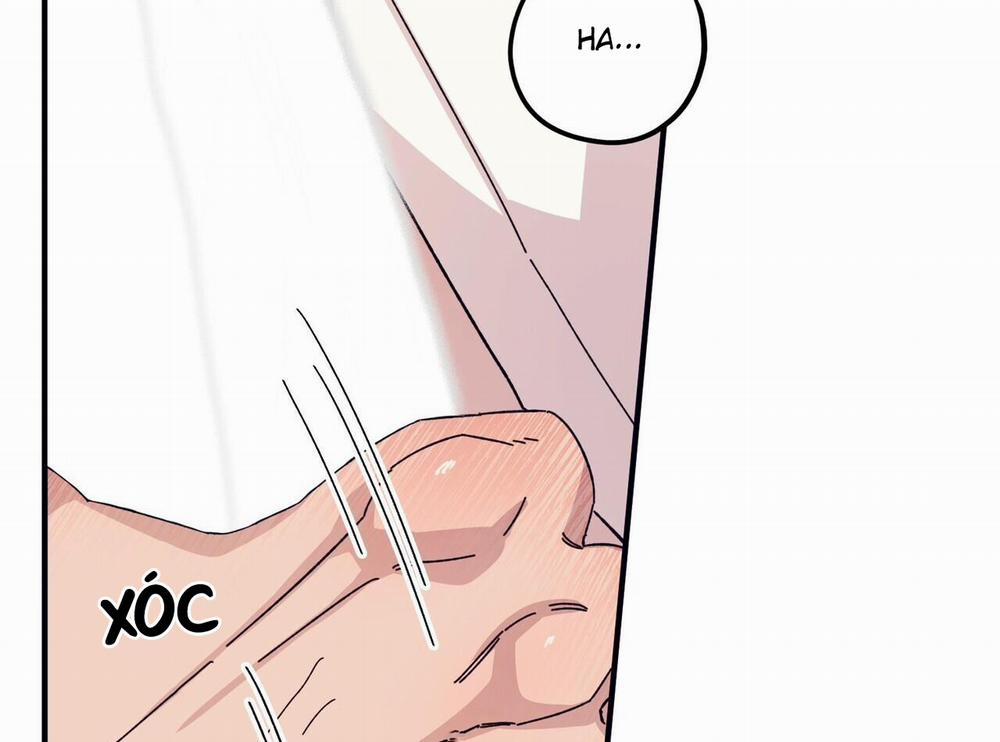 Chàng Dâu Nhà Họ Kang 44 trang 49