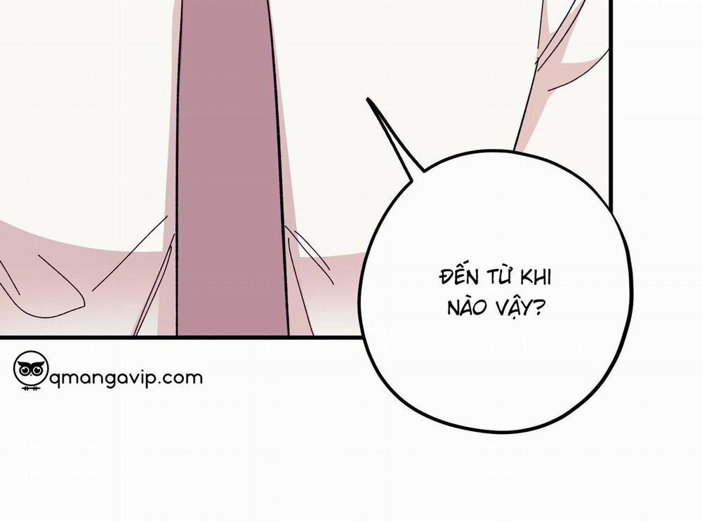 Chàng Dâu Nhà Họ Kang 44 trang 8