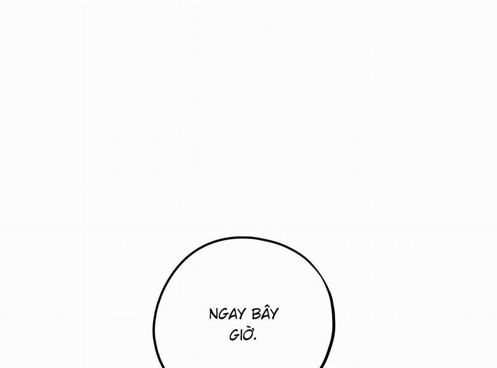 Chàng Dâu Nhà Họ Kang 44 trang 9