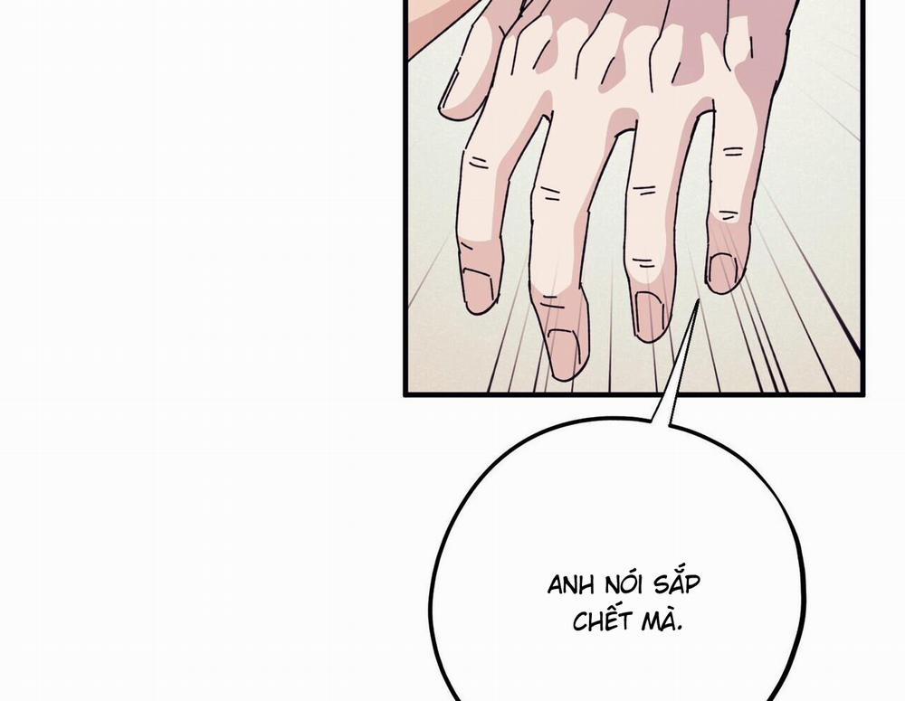 Chàng Dâu Nhà Họ Kang 44 trang 98