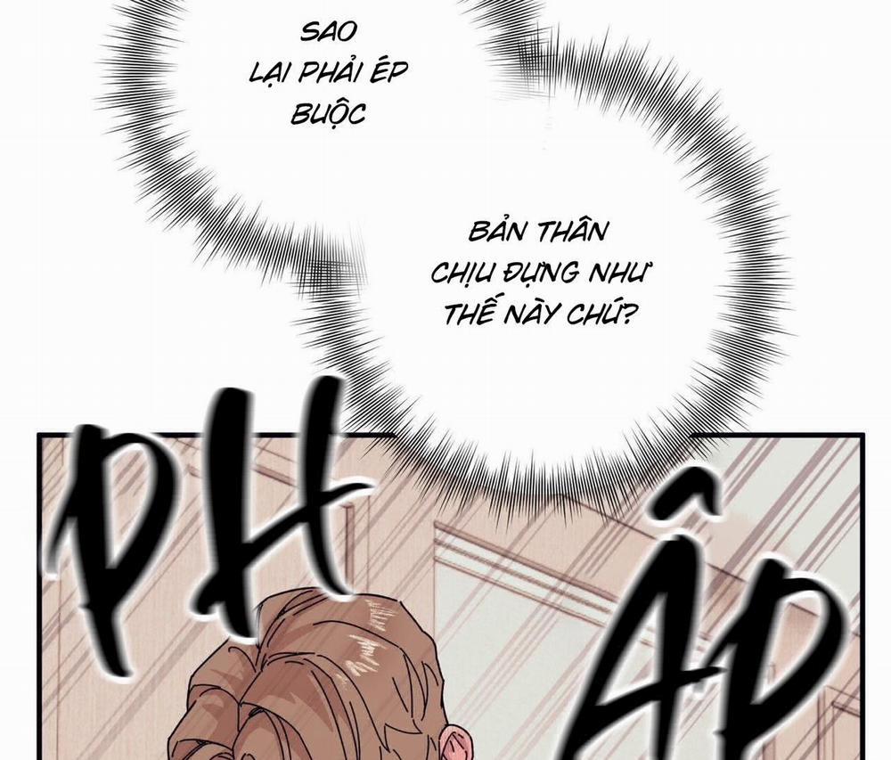 Chàng Dâu Nhà Họ Kang 45 trang 12