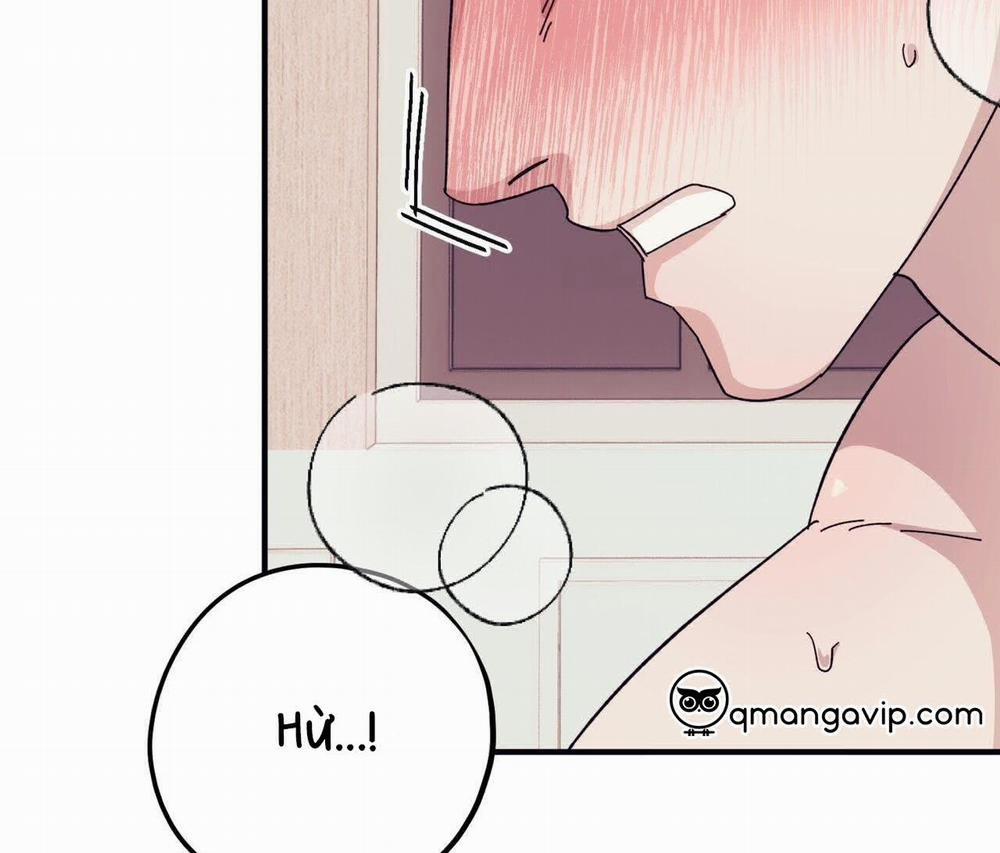 Chàng Dâu Nhà Họ Kang 45 trang 18