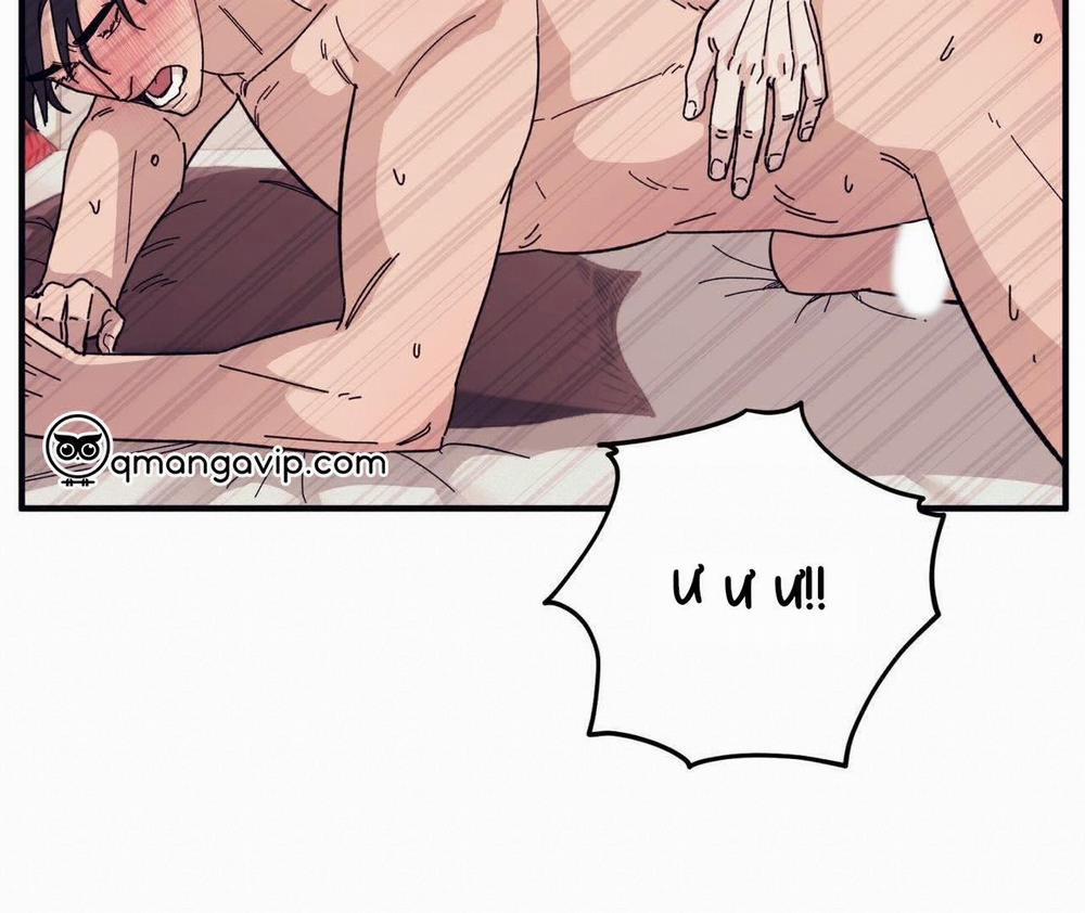 Chàng Dâu Nhà Họ Kang 45 trang 21