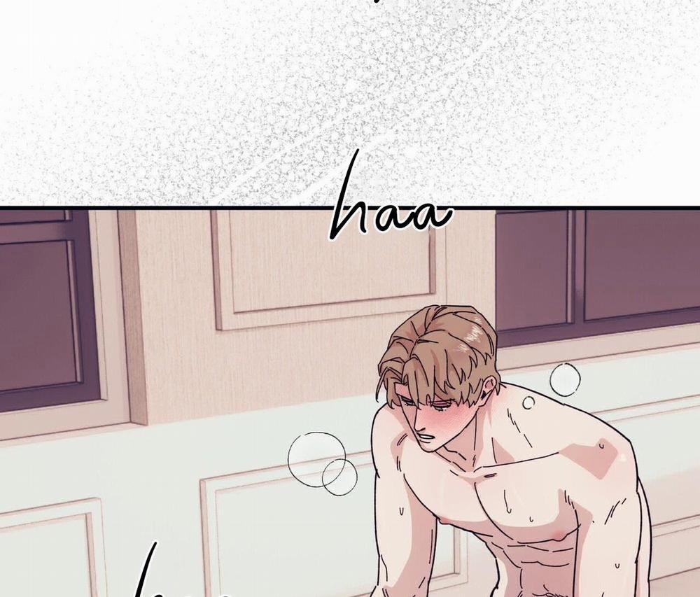 Chàng Dâu Nhà Họ Kang 45 trang 23