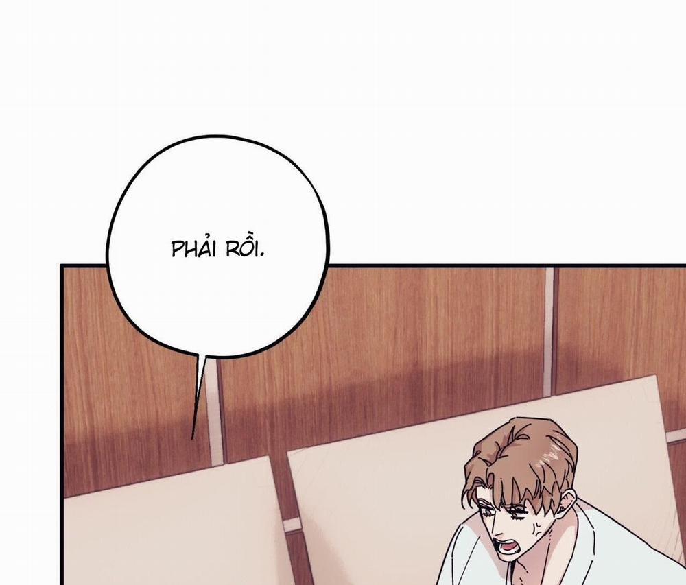 Chàng Dâu Nhà Họ Kang 45 trang 49