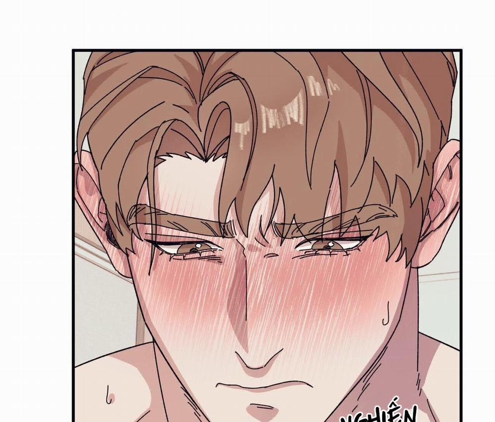 Chàng Dâu Nhà Họ Kang 45 trang 8