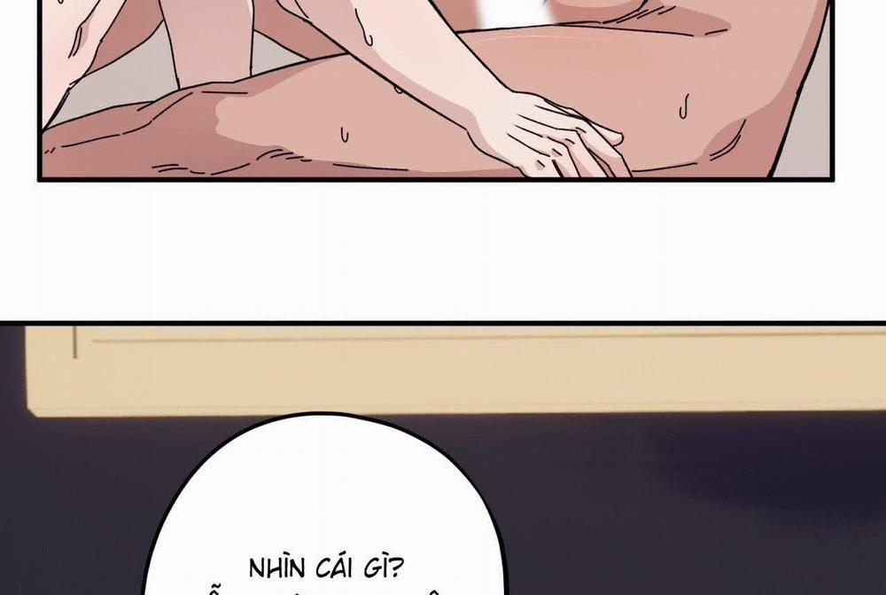 Chàng Dâu Nhà Họ Kang 46 trang 8