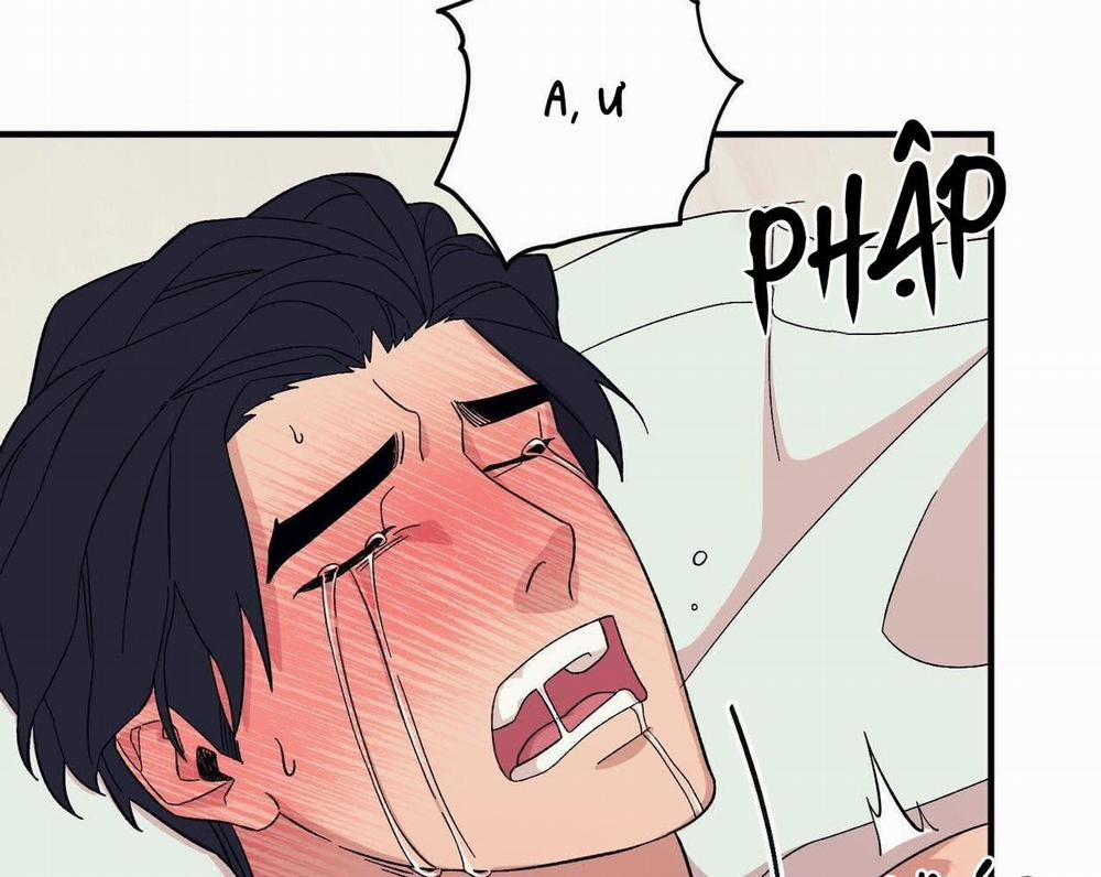 Chàng Dâu Nhà Họ Kang 47 trang 184