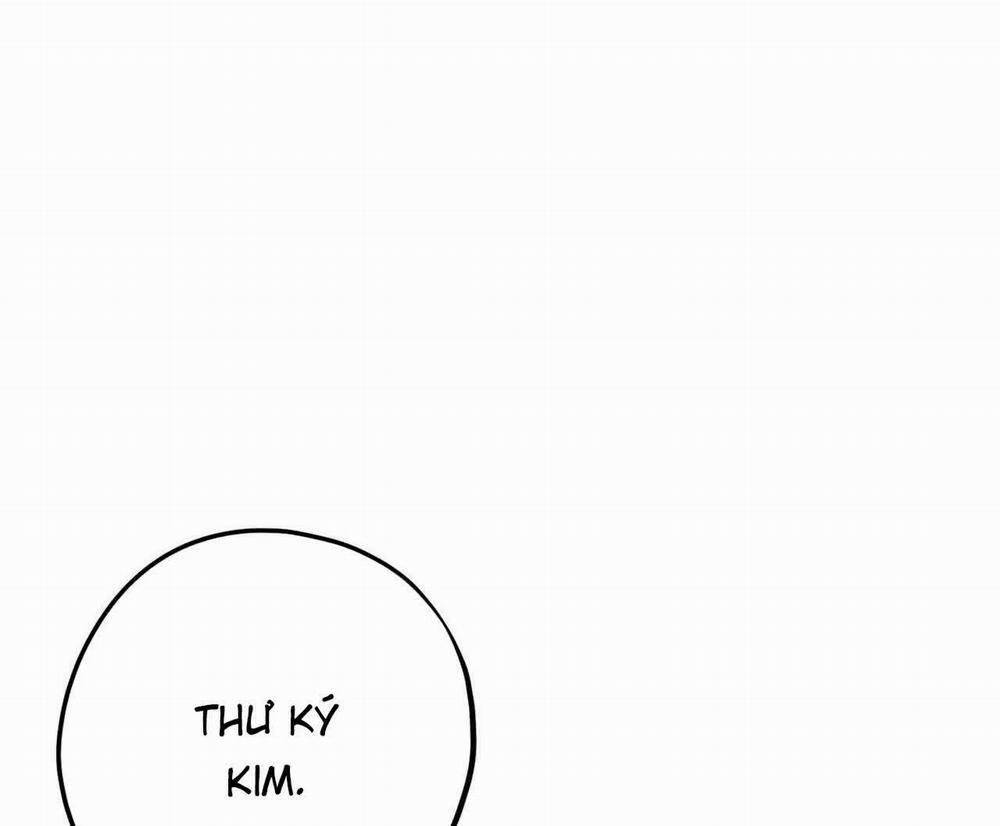 Chàng Dâu Nhà Họ Kang 48 trang 17