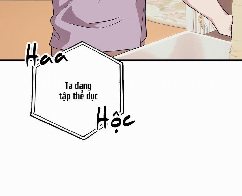 Chàng Dâu Nhà Họ Kang 48 trang 33