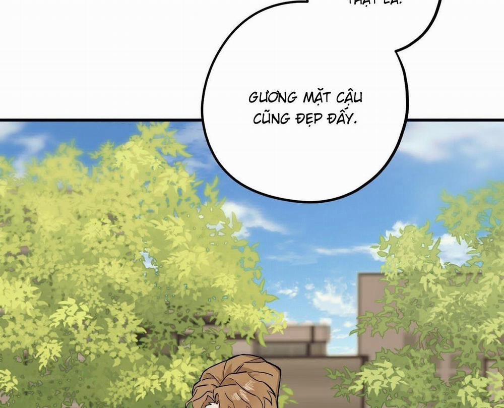 Chàng Dâu Nhà Họ Kang 48 trang 82