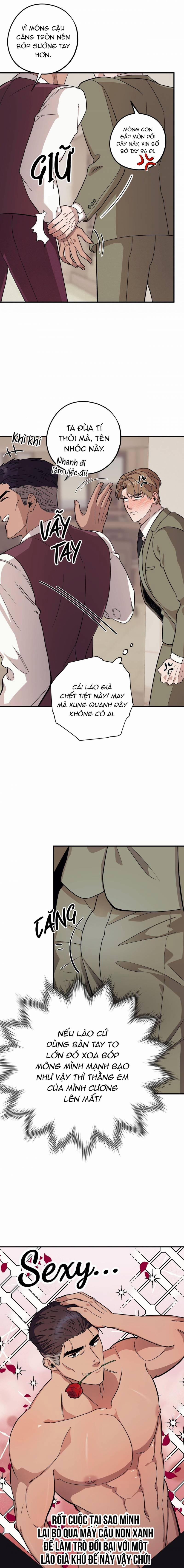 Chàng Dâu Nhà Họ Kang 49 trang 15