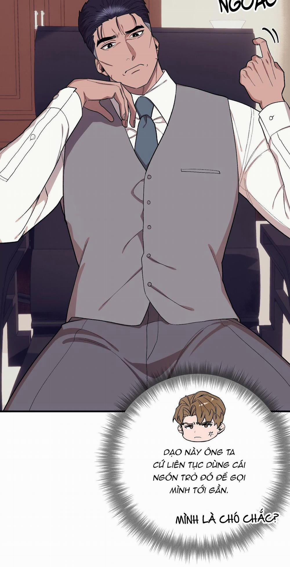 Chàng Dâu Nhà Họ Kang 60 trang 6