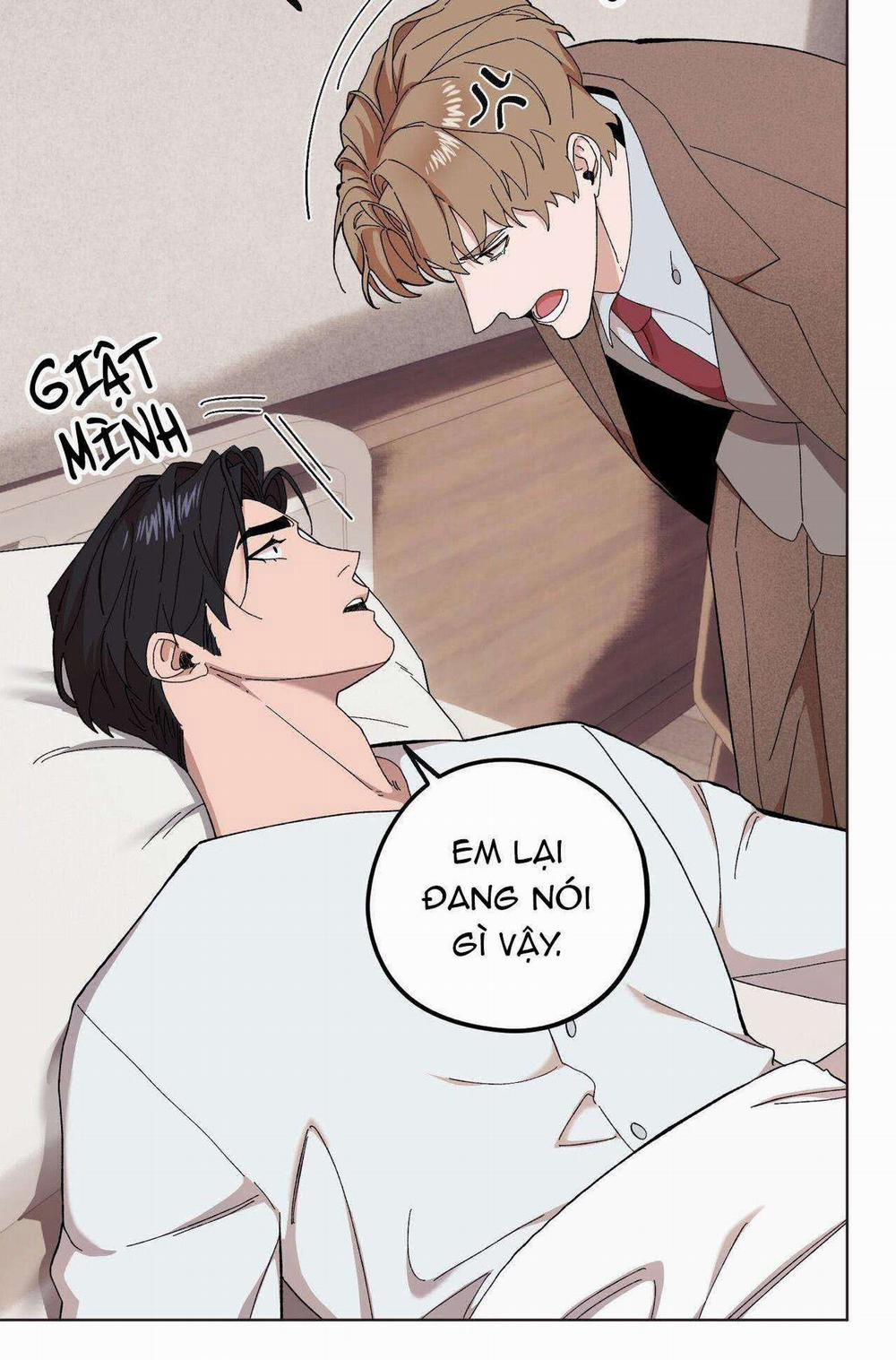 Chàng Dâu Nhà Họ Kang 65 trang 8