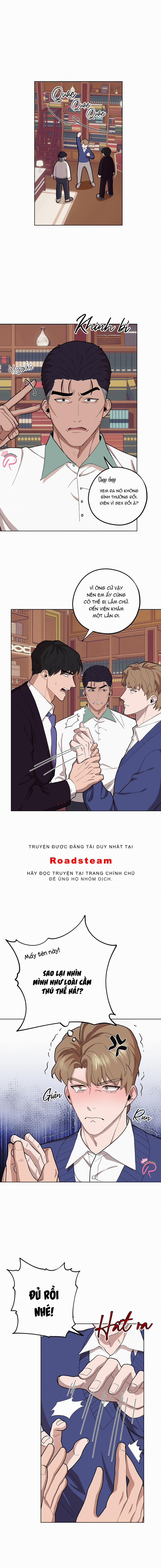 Chàng Dâu Nhà Họ Kang 71 trang 4