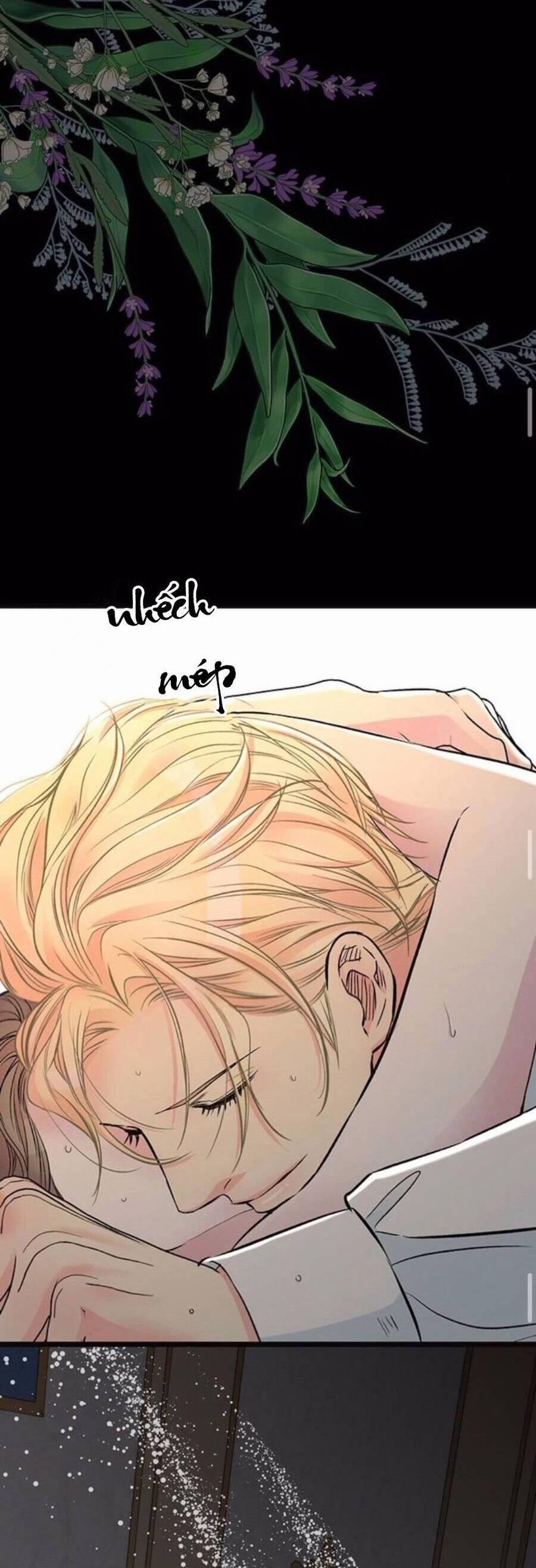 Chàng Hoàng Tử Này Có Vấn Đề 47.2 trang 7