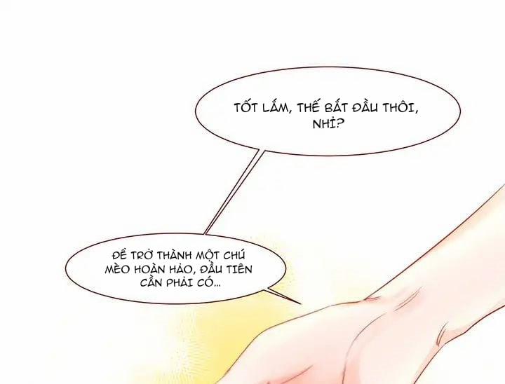 Chàng Mèo Trong Hộp Carton 1 trang 1