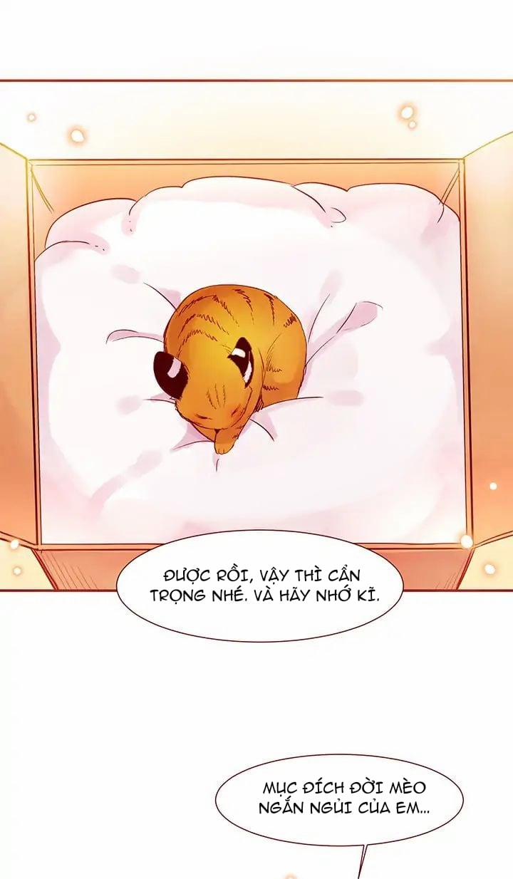 Chàng Mèo Trong Hộp Carton 1 trang 11