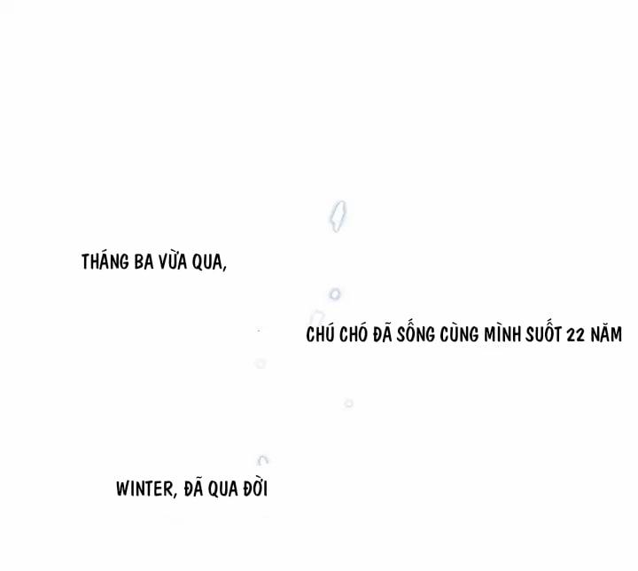 Chàng Mèo Trong Hộp Carton 1 trang 21