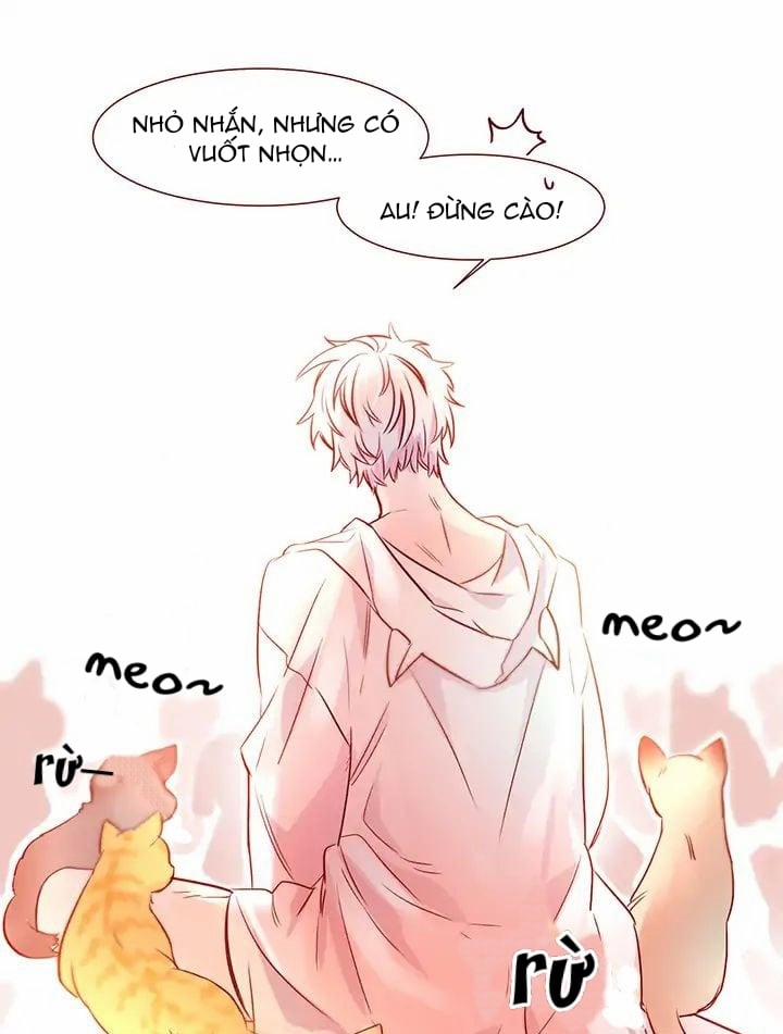 Chàng Mèo Trong Hộp Carton 1 trang 3
