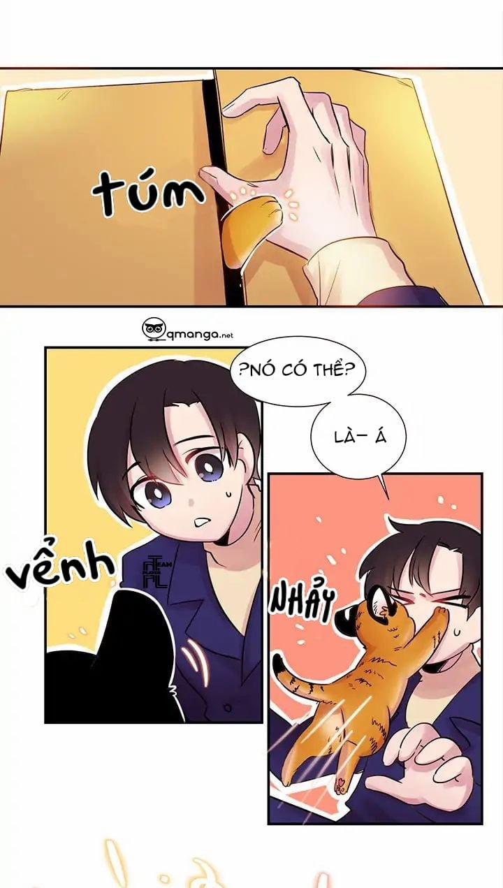 Chàng Mèo Trong Hộp Carton 1 trang 31