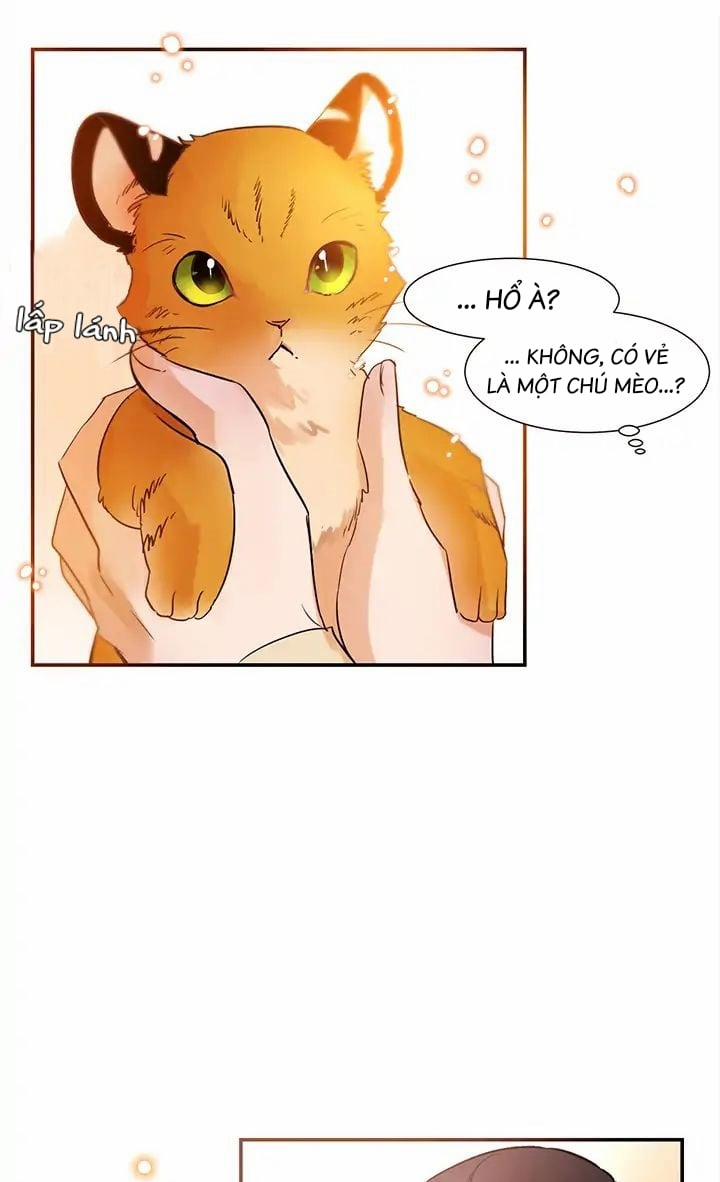 Chàng Mèo Trong Hộp Carton 1 trang 33
