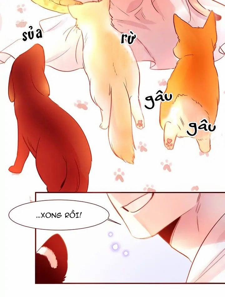 Chàng Mèo Trong Hộp Carton 1 trang 4