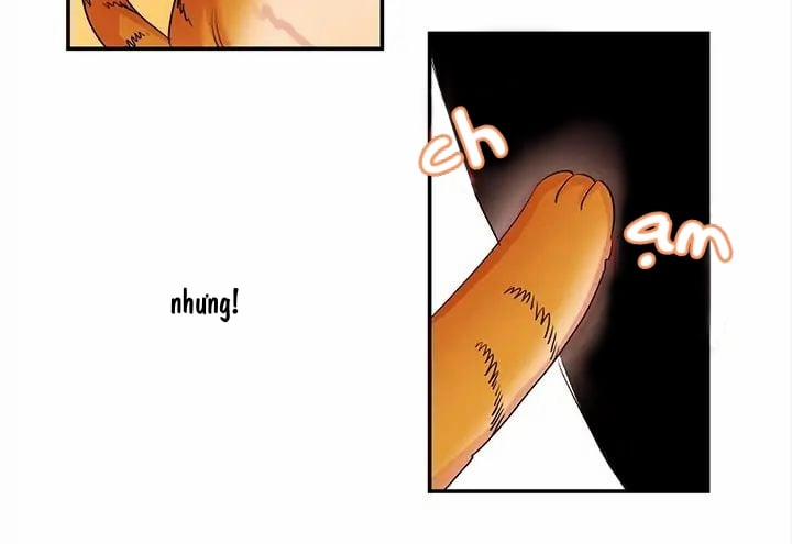 Chàng Mèo Trong Hộp Carton 1 trang 40