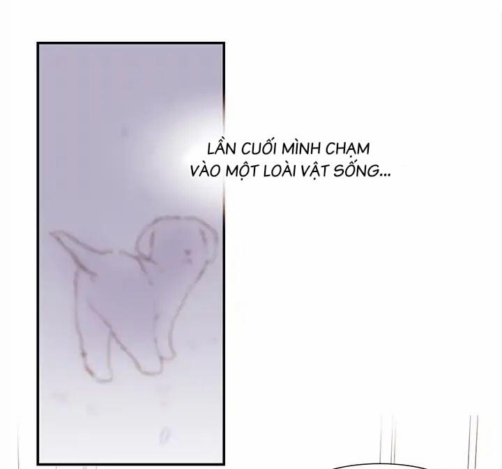 Chàng Mèo Trong Hộp Carton 1 trang 43