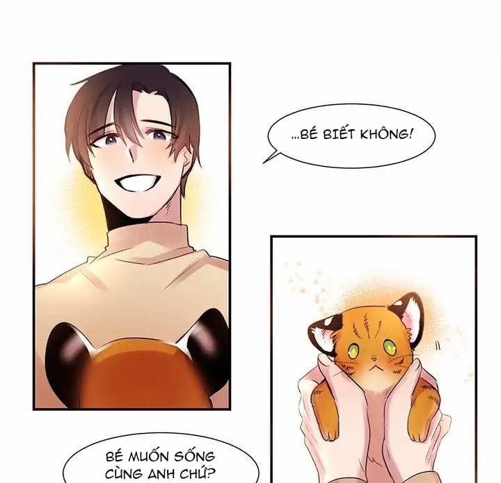 Chàng Mèo Trong Hộp Carton 1 trang 45