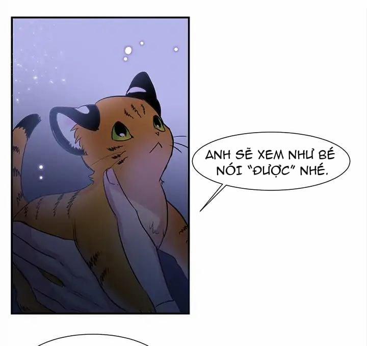 Chàng Mèo Trong Hộp Carton 1 trang 53