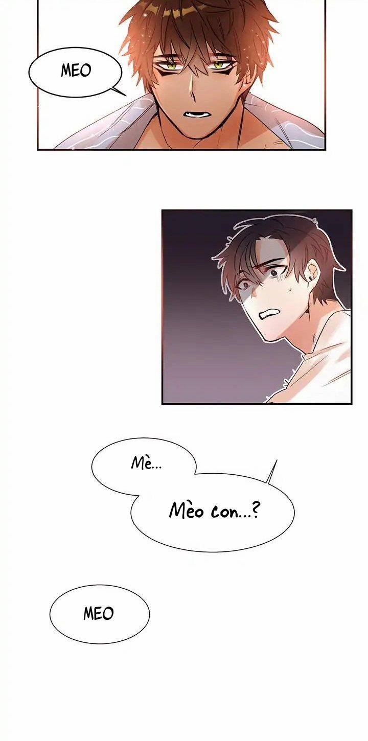 Chàng Mèo Trong Hộp Carton 1 trang 64