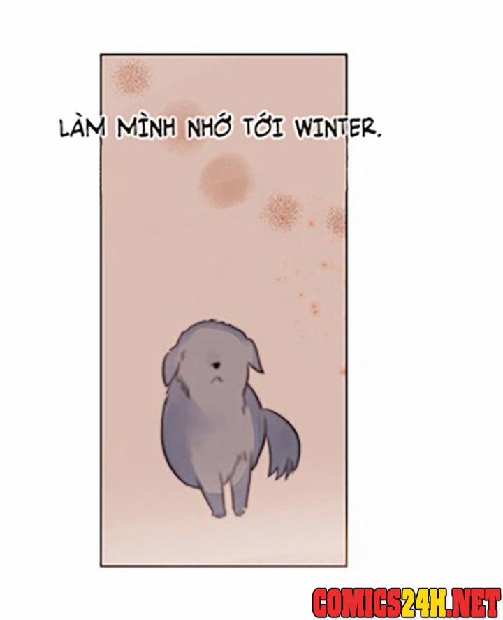 Chàng Mèo Trong Hộp Carton 10 trang 23