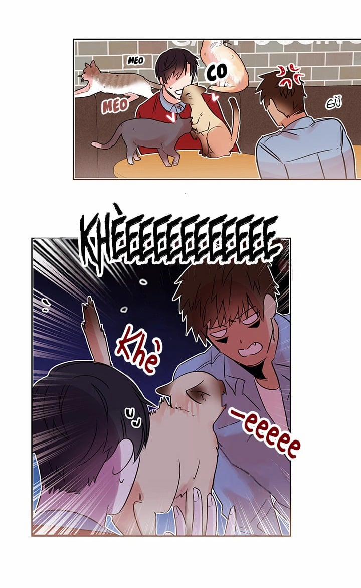 Chàng Mèo Trong Hộp Carton 10 trang 44