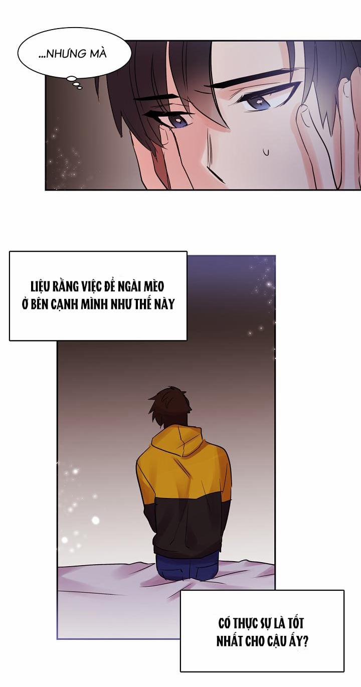 Chàng Mèo Trong Hộp Carton 12 trang 21