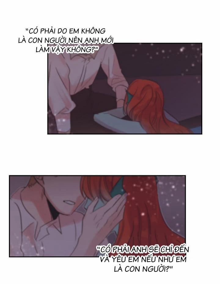 Chàng Mèo Trong Hộp Carton 12 trang 40