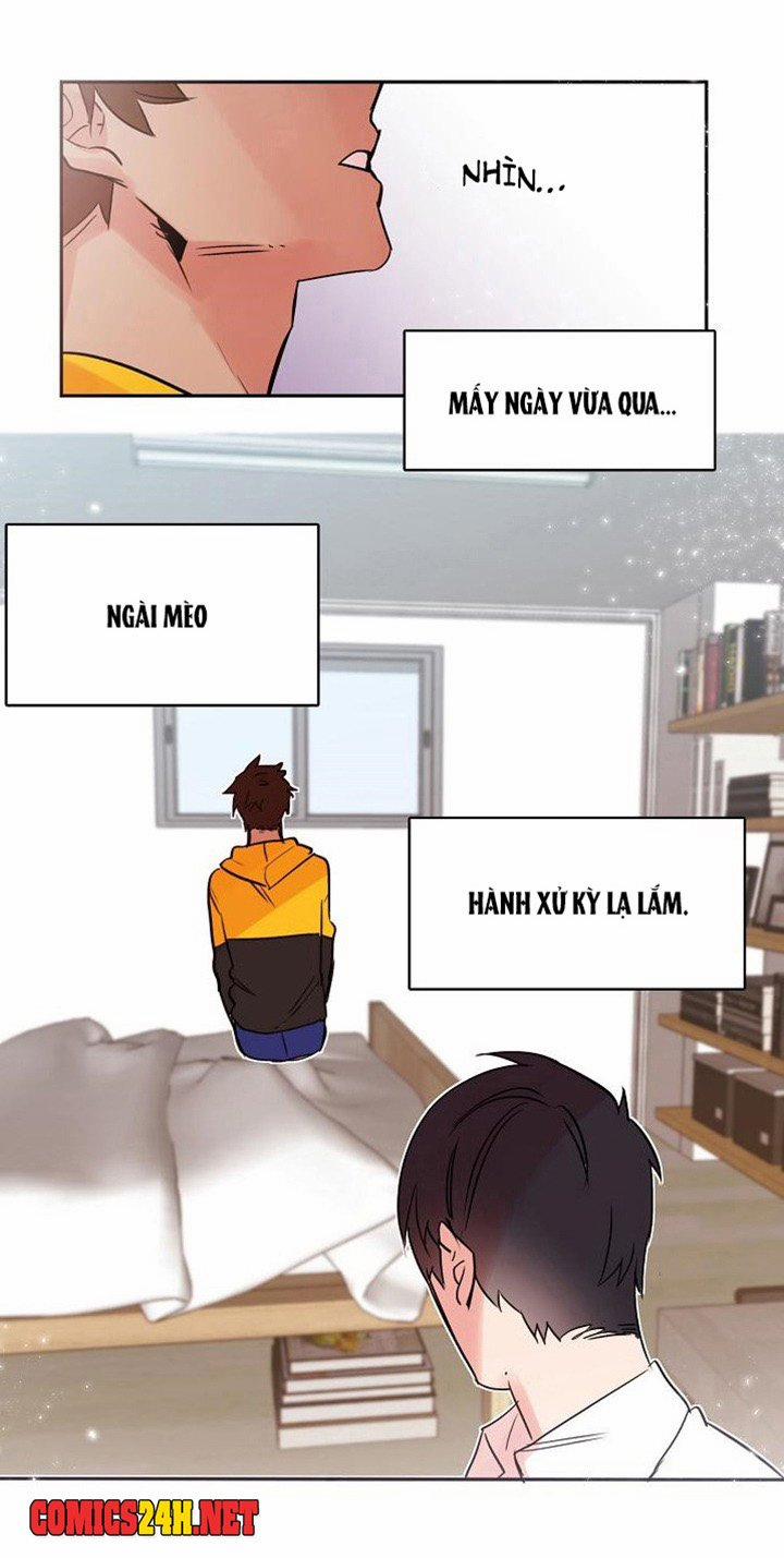 Chàng Mèo Trong Hộp Carton 12 trang 5