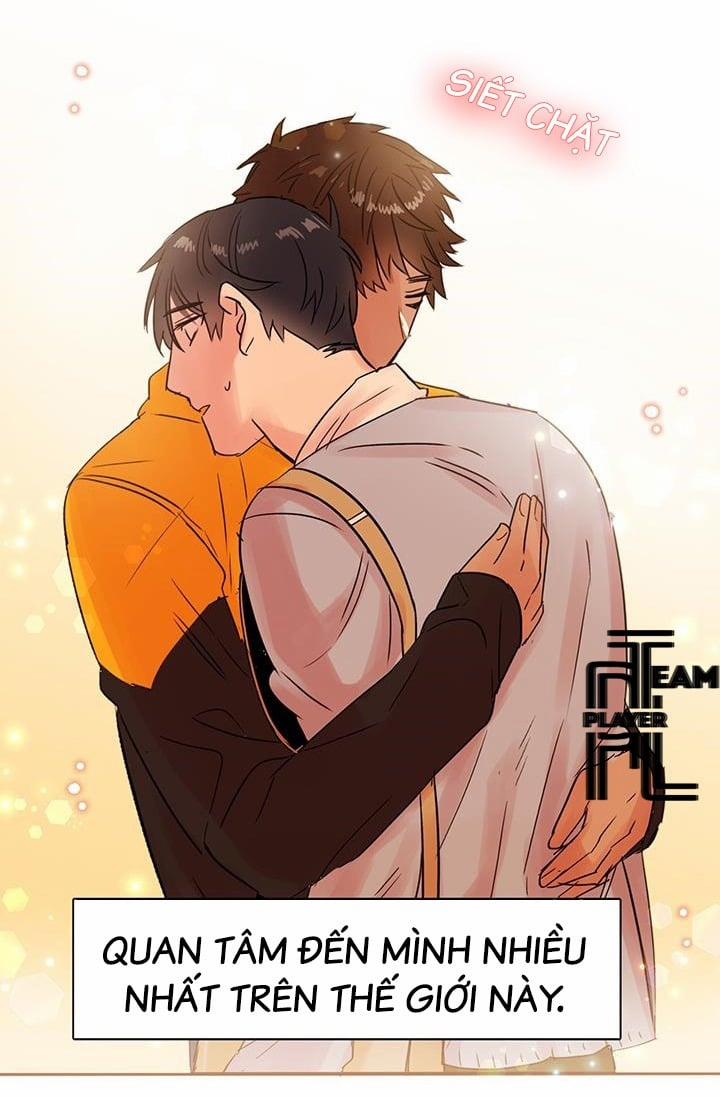 Chàng Mèo Trong Hộp Carton 13 trang 42