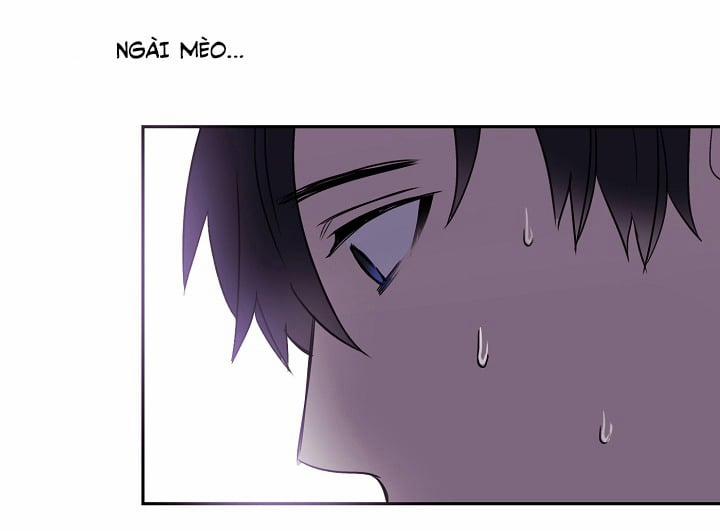 Chàng Mèo Trong Hộp Carton 14 trang 16