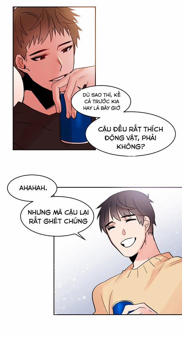 Chàng Mèo Trong Hộp Carton 15 trang 36