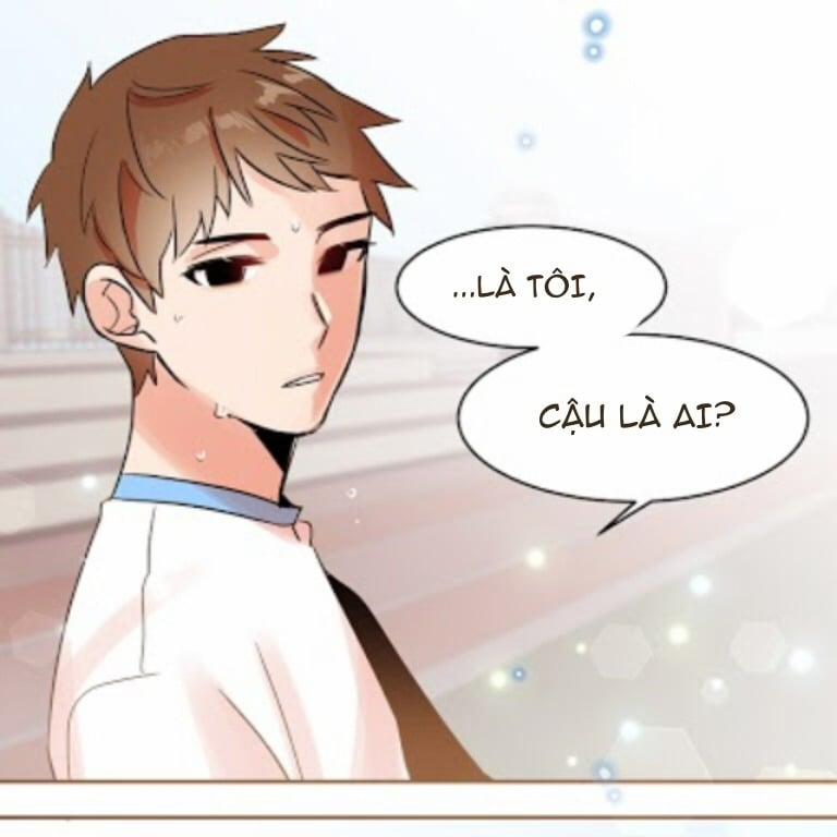 Chàng Mèo Trong Hộp Carton 16 trang 2