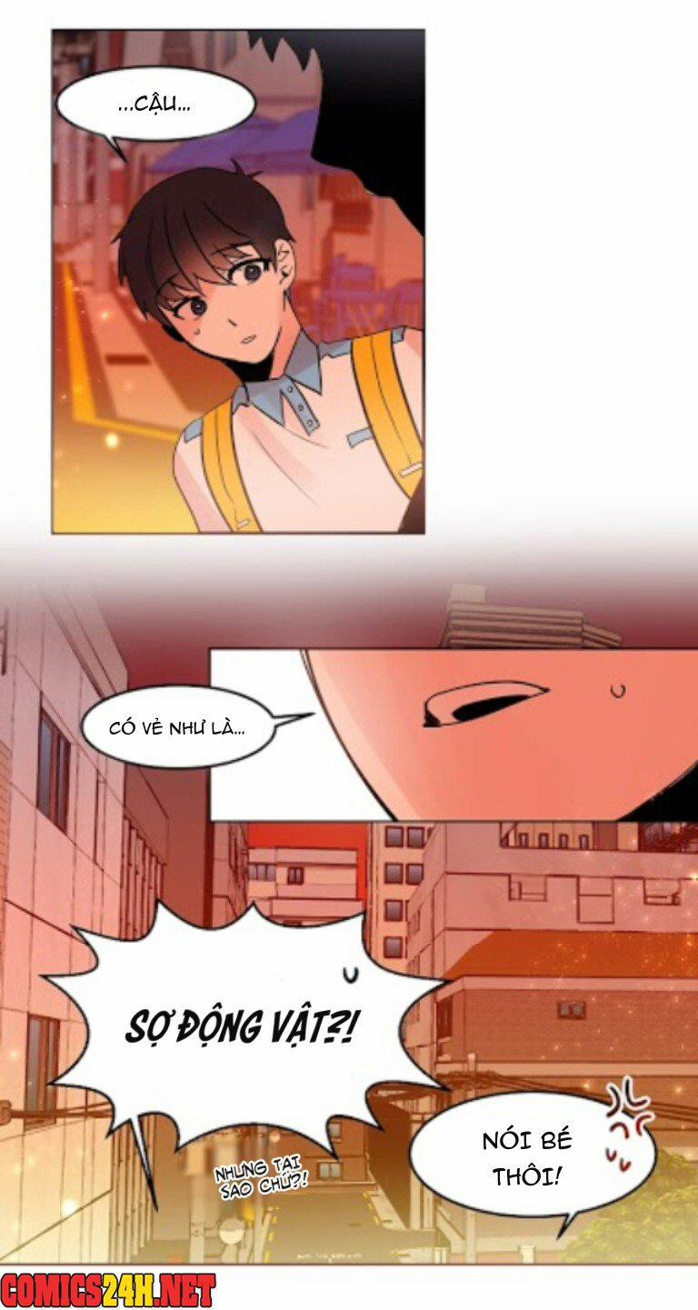 Chàng Mèo Trong Hộp Carton 16 trang 22